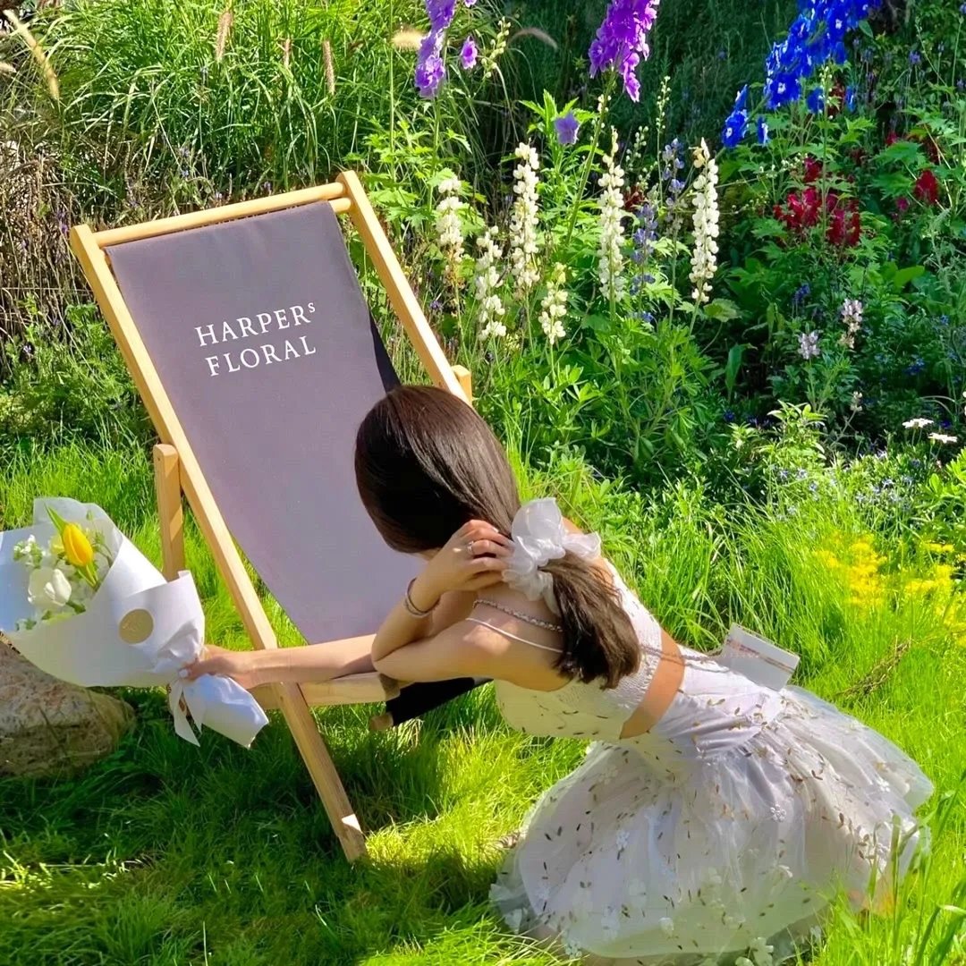 钱串子账本子姑爷是个醋坛子