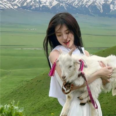 新乌龙女校2：弗里顿的黄金的传奇